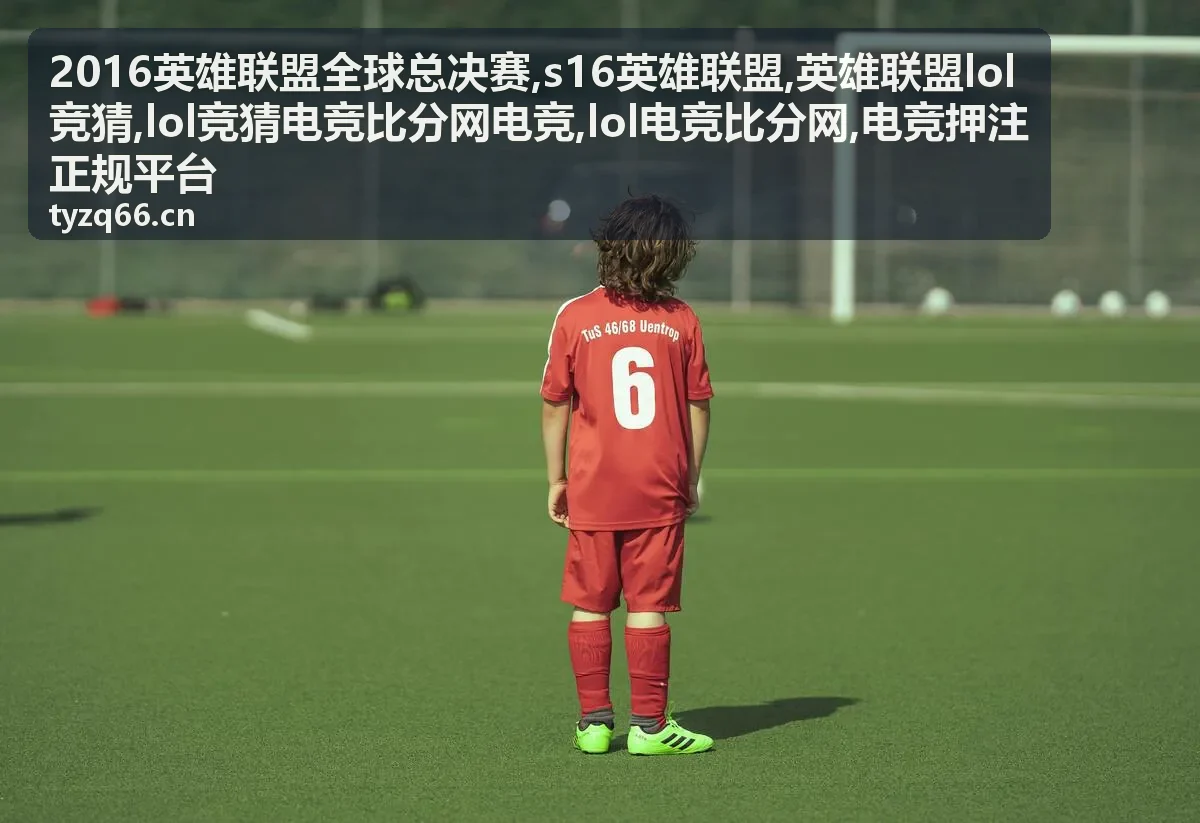 电竞押注正规平台合规提示封面